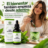 Clorofila Líquida Benevolent