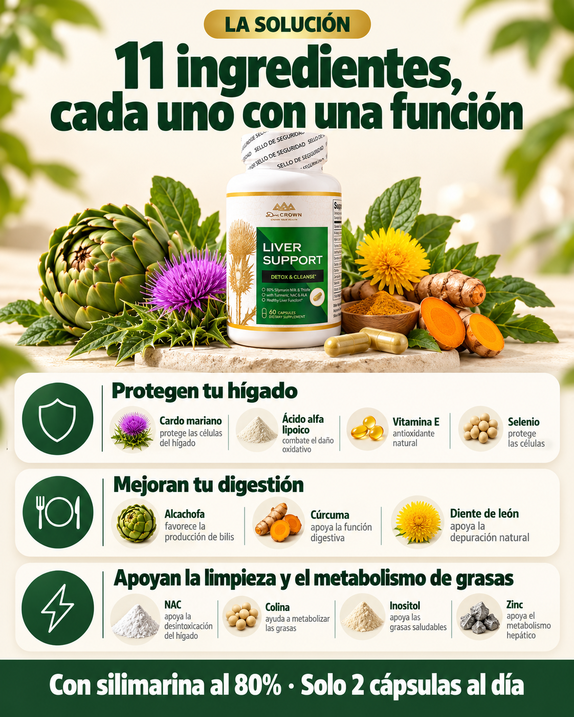 Liver Support - El cuidado diario que tu hígado merece